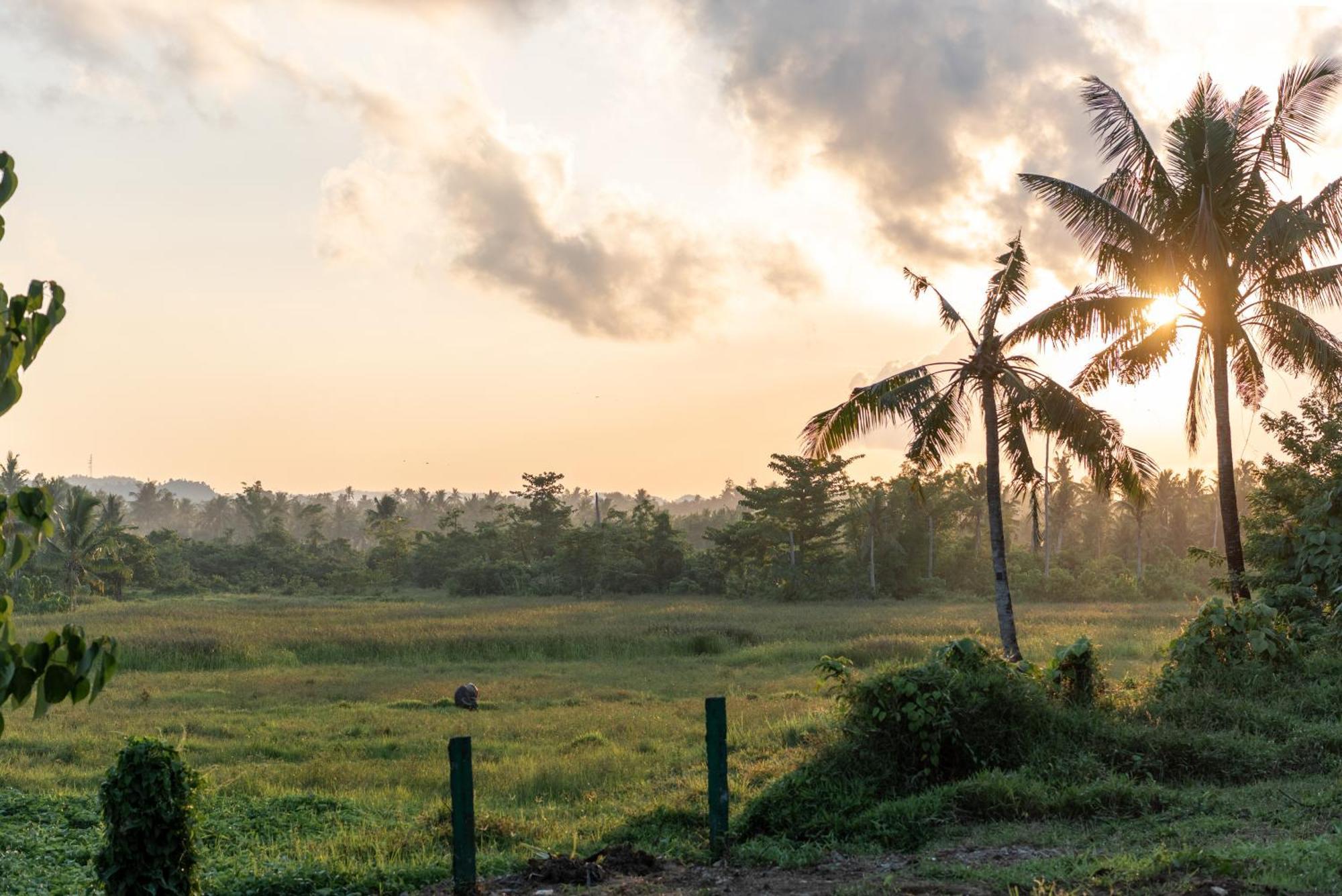 The Hillside Resort Siargao General Luna  Esterno foto